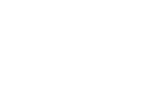 speedelogo.png